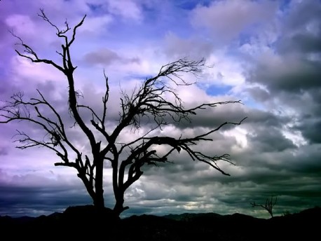 How To Change Negative Conditions In Your Life